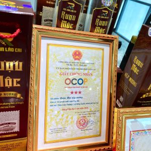 z7142560431838_4e7cfff05cbe32512706c115fb9b7655